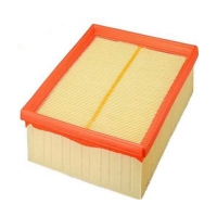 FILTRON AP 026 (A-BMW 13721287681, 5904608000262) AP026
