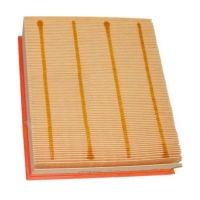 FILTRON AP 026/1 (A-BMW 13718507320, 5904608020260) AP0261