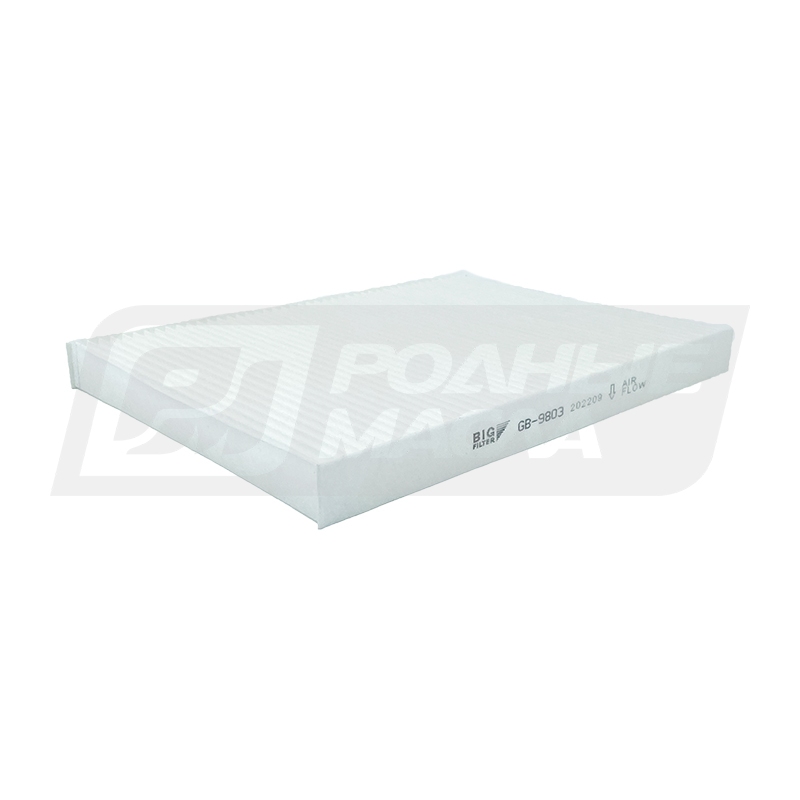 BIG FILTER GB-9803 (VAG 1H0091800, 8L0091800) GB9803