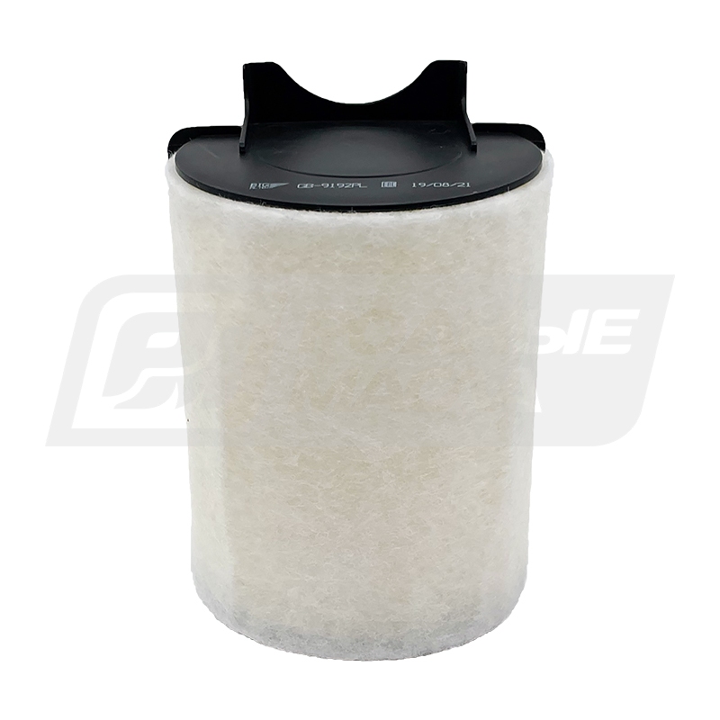 BIG FILTER GB-9192PL (C14130/1, LX1566/1, AK370/5, VAG 1F0129620) GB9192PL